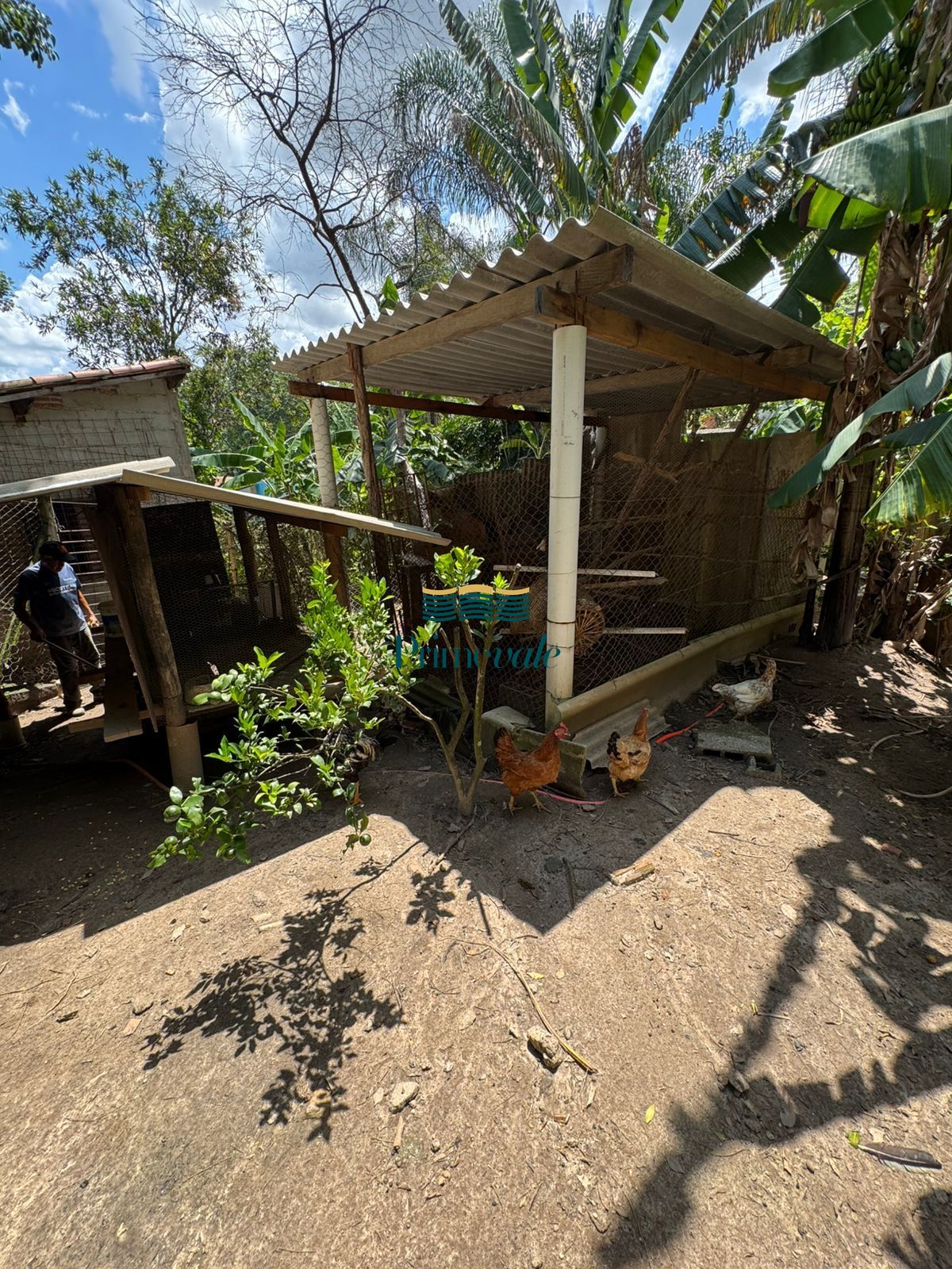 Sítio, 4 quartos, 3500 m² - Foto 31