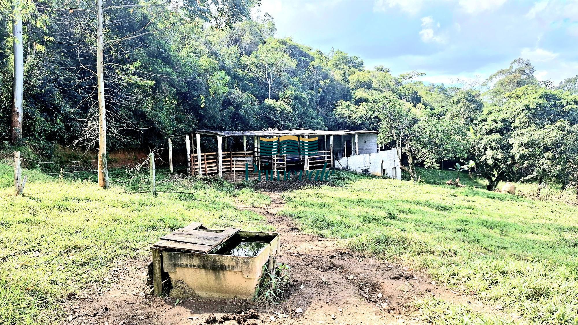 Chácara, 5 quartos, 11 hectares - Foto 39