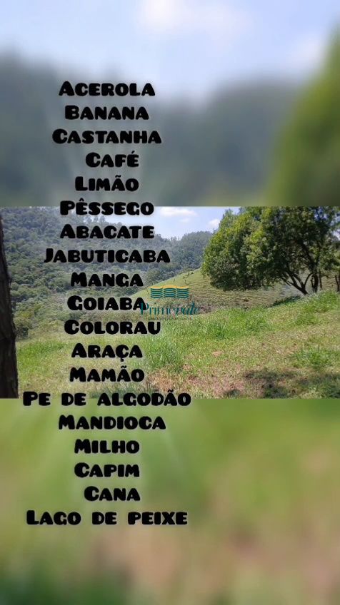Sítio, 3 quartos, 9500 m² - Foto 25