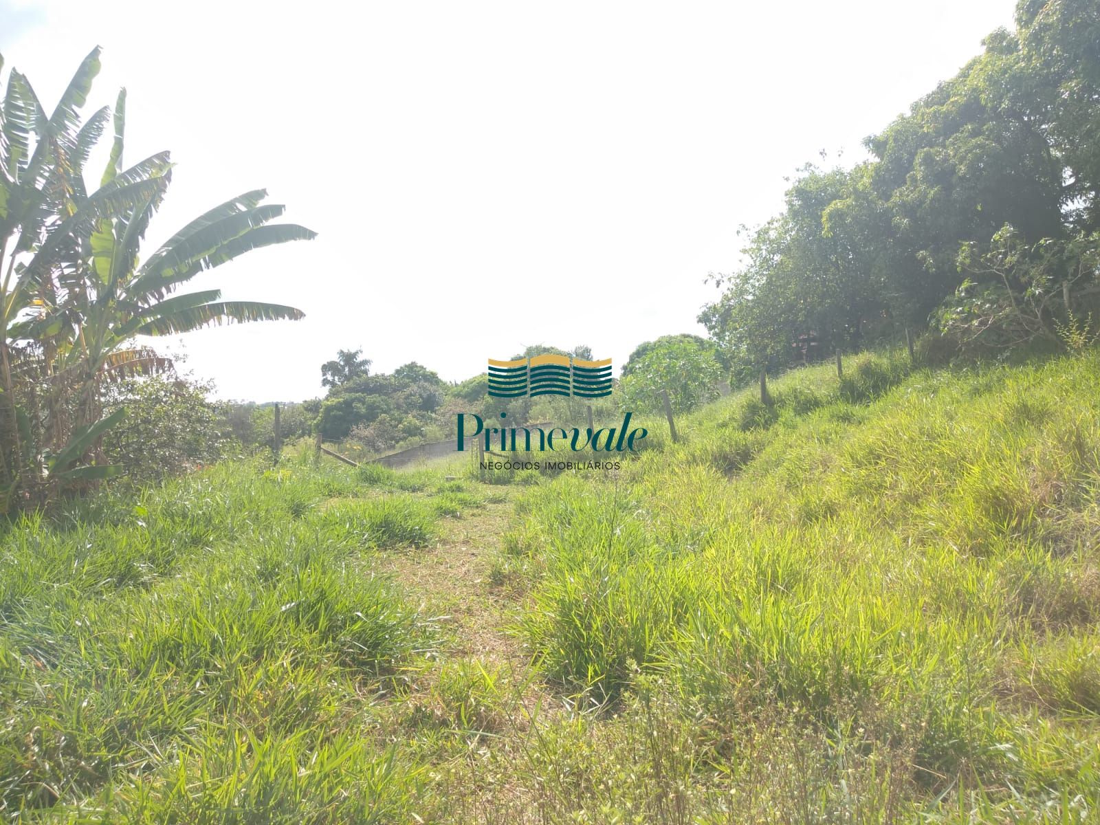 Terreno, 1000 m² - Foto 3