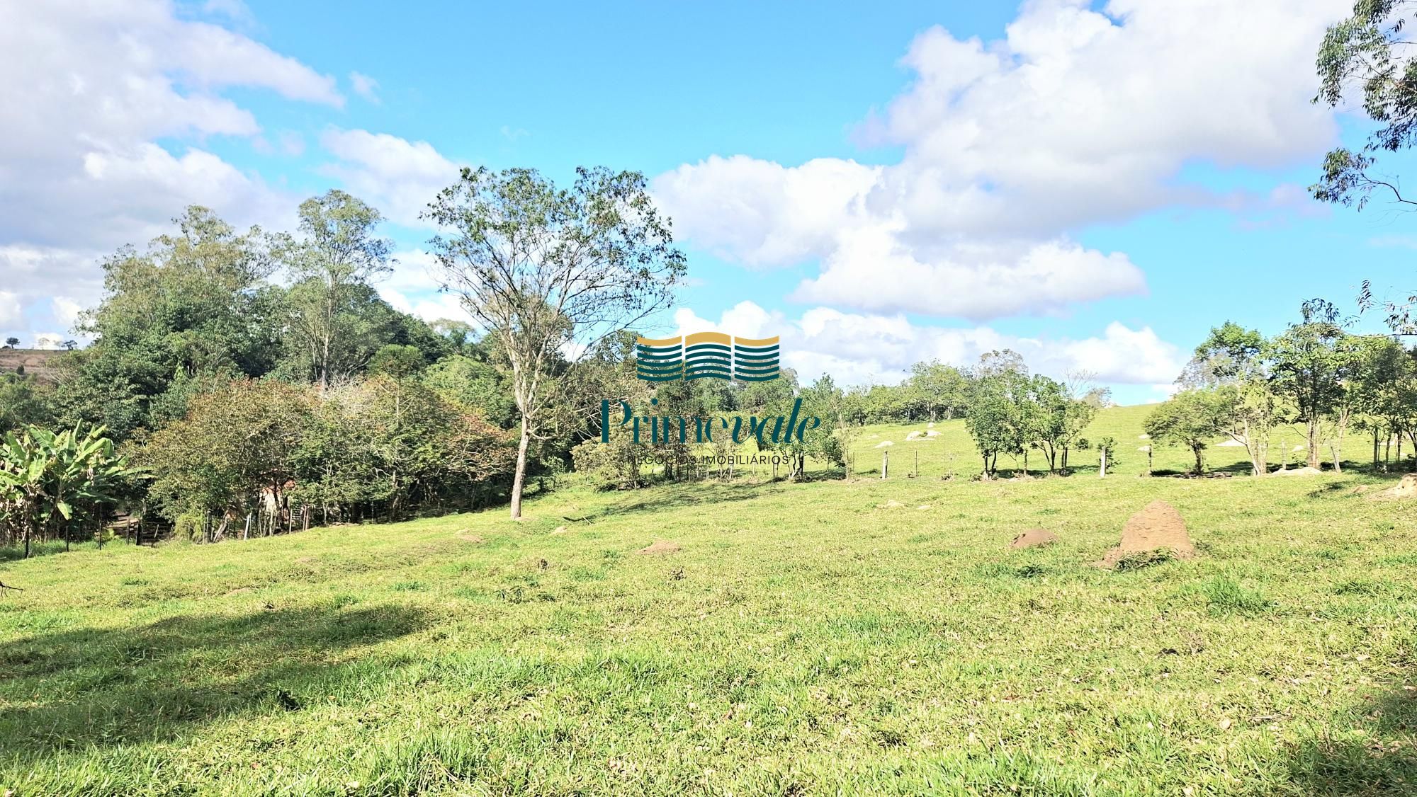 Chácara, 5 quartos, 11 hectares - Foto 41