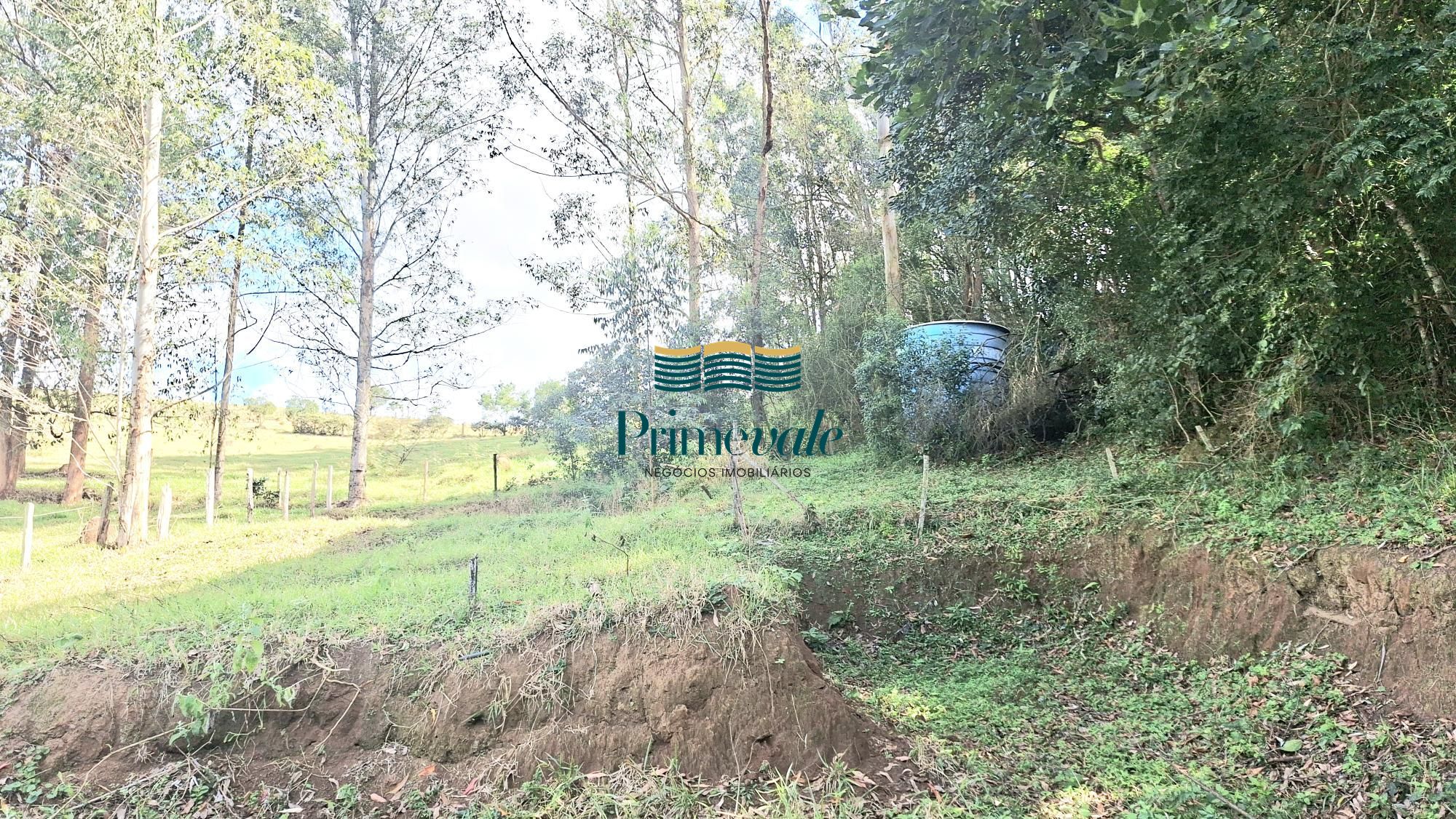 Chácara, 5 quartos, 11 hectares - Foto 35