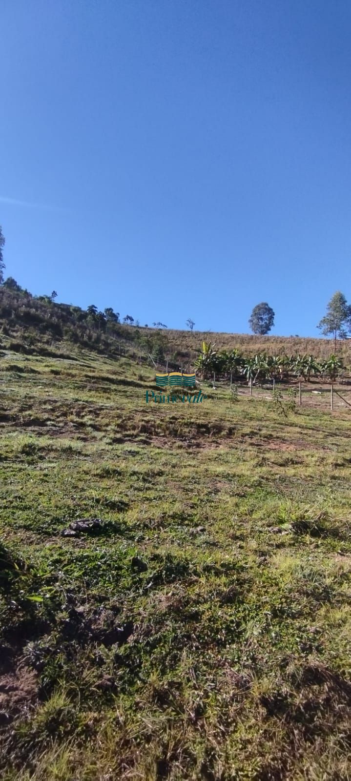Chácara, 2 hectares - Foto 2