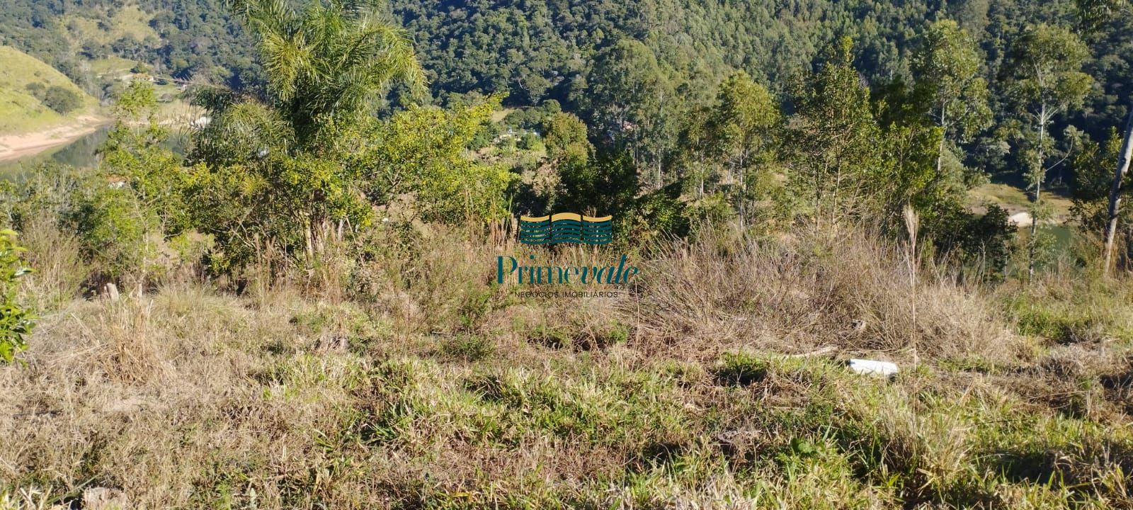 Chácara, 2 hectares - Foto 21