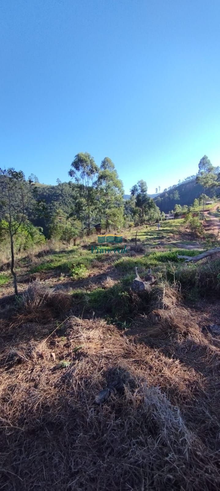 Chácara, 2 hectares - Foto 25