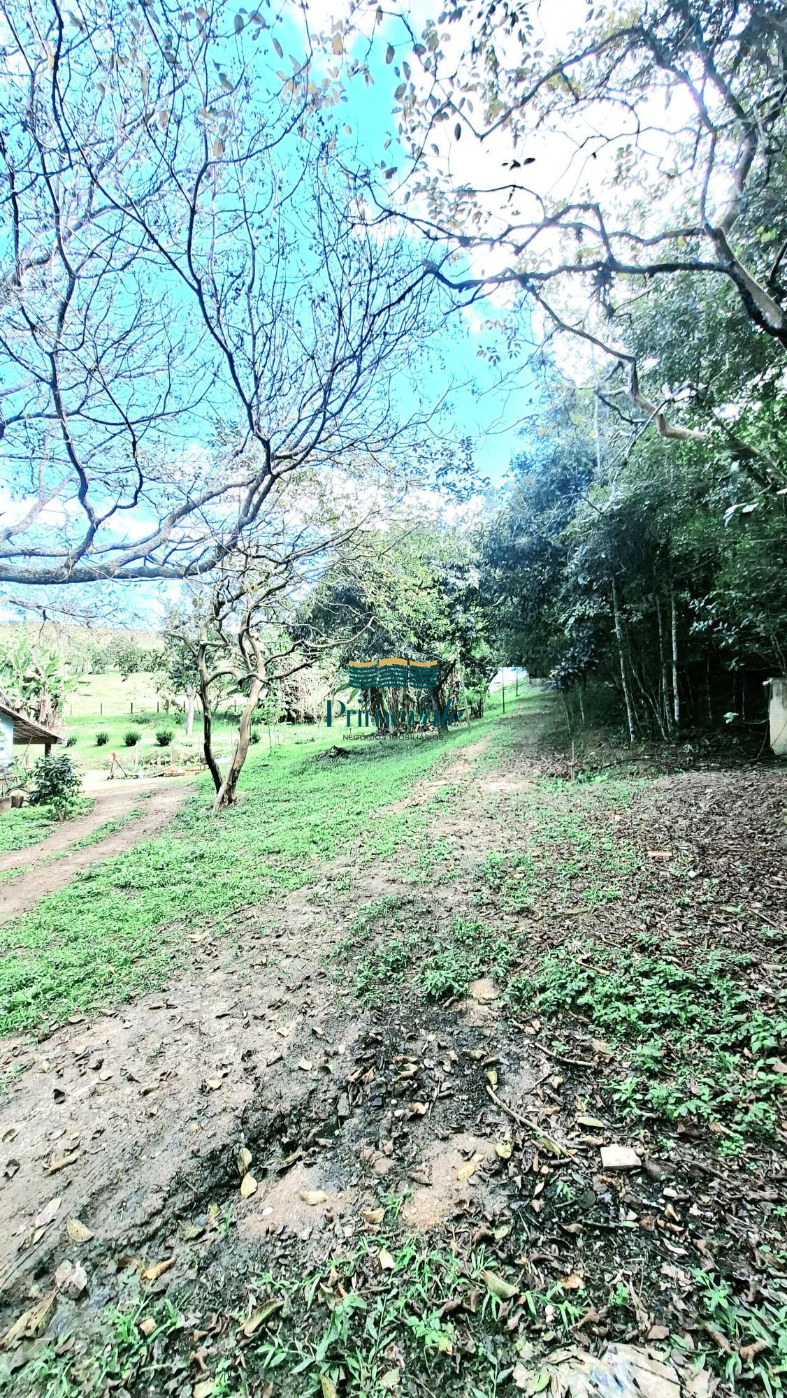 Chácara, 5 quartos, 11 hectares - Foto 33