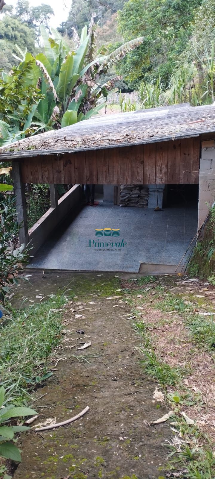 Sítio, 2 quartos, 1000 m² - Foto 3