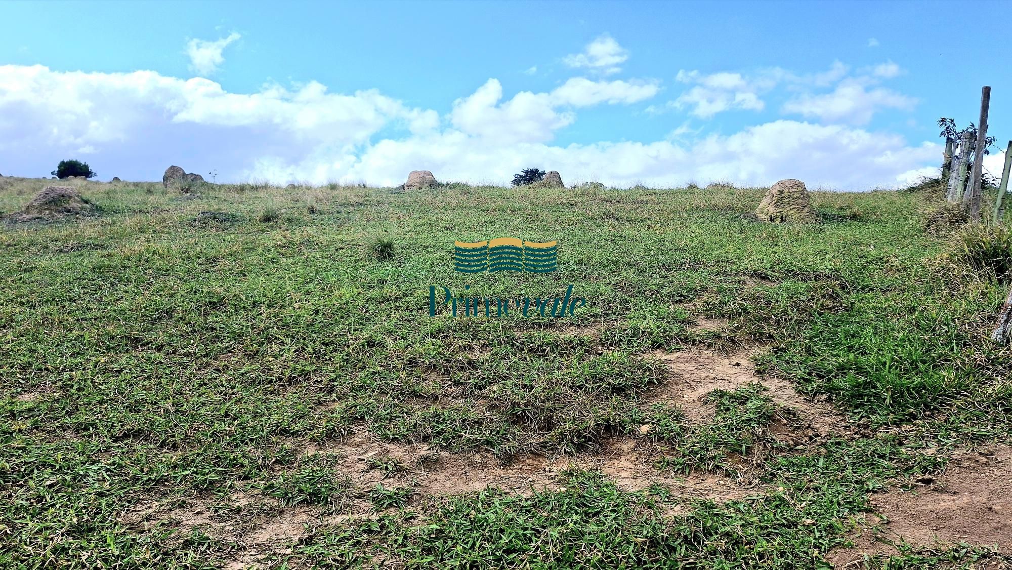Chácara, 5 quartos, 11 hectares - Foto 49