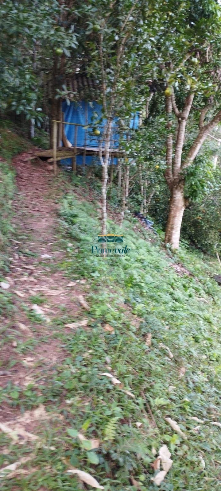 Sítio, 2 quartos, 1000 m² - Foto 4