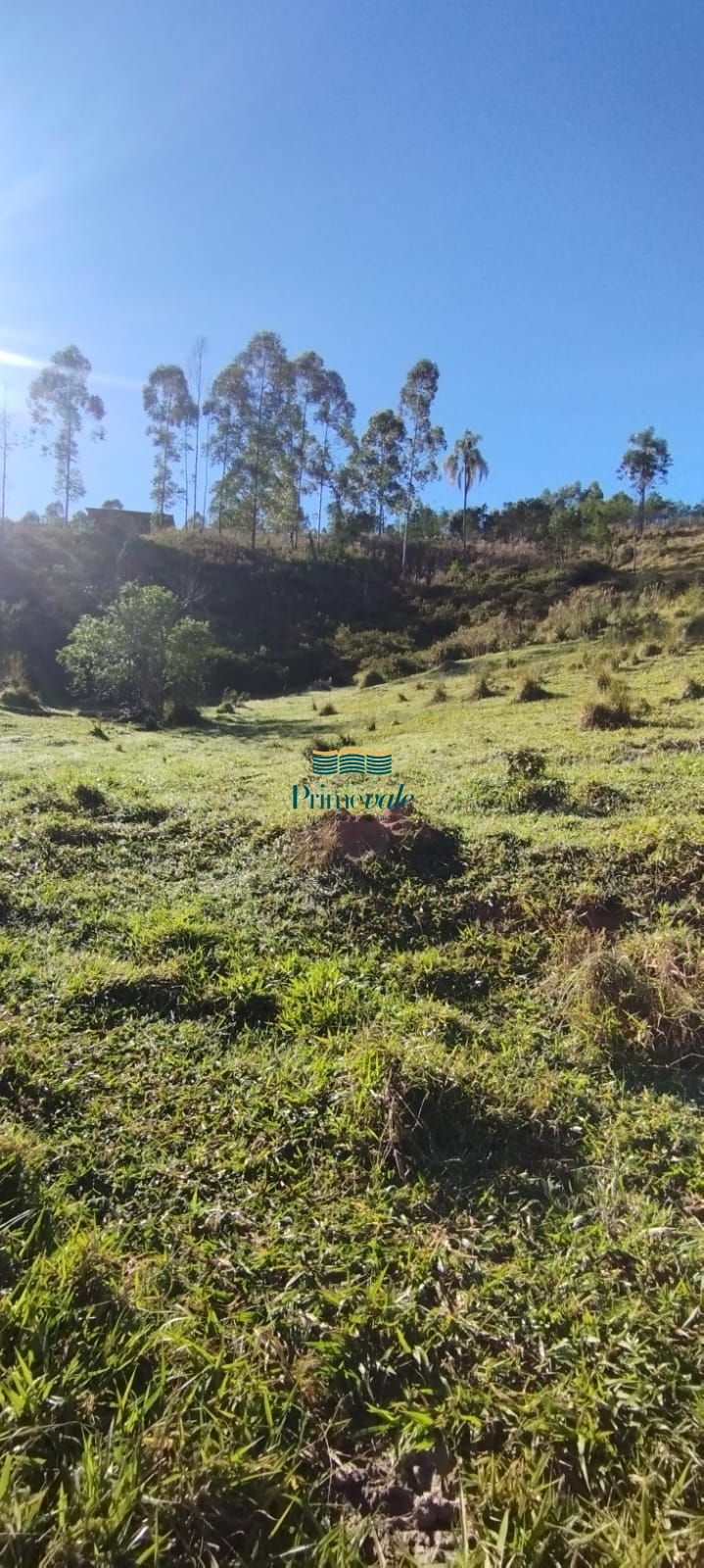 Chácara, 2 hectares - Foto 3