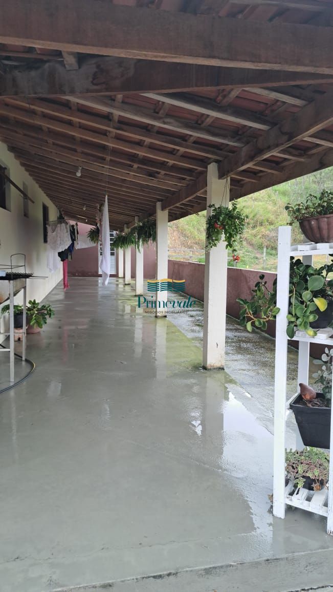 Sítio, 3 quartos, 4200 m² - Foto 5