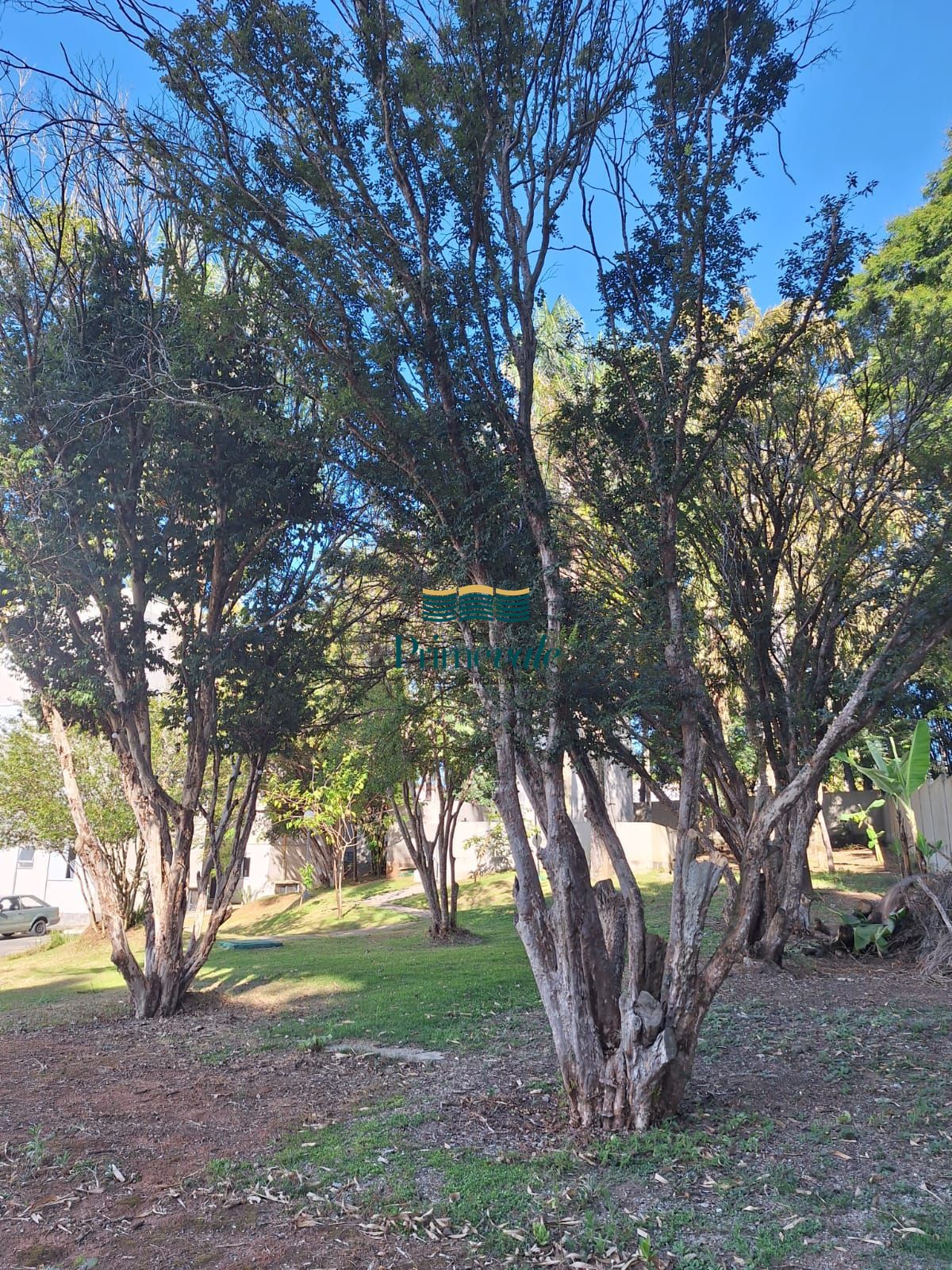 Apartamento, 2 quartos, 40 m² - Foto 29