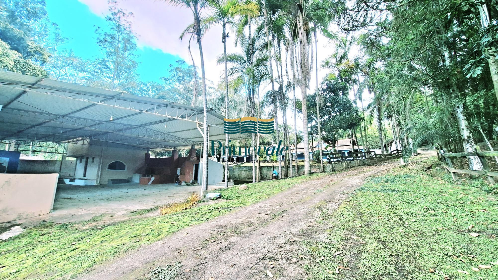 Chácara, 5 quartos, 11 hectares - Foto 6