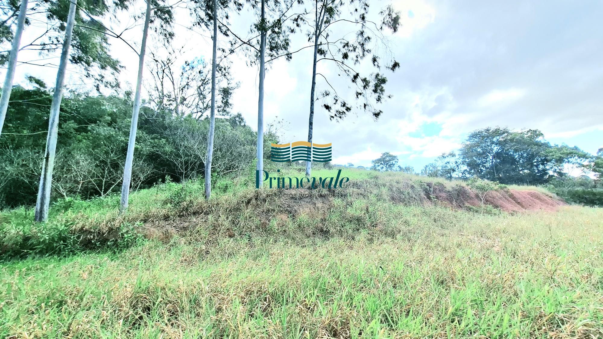 Chácara, 5 quartos, 11 hectares - Foto 21