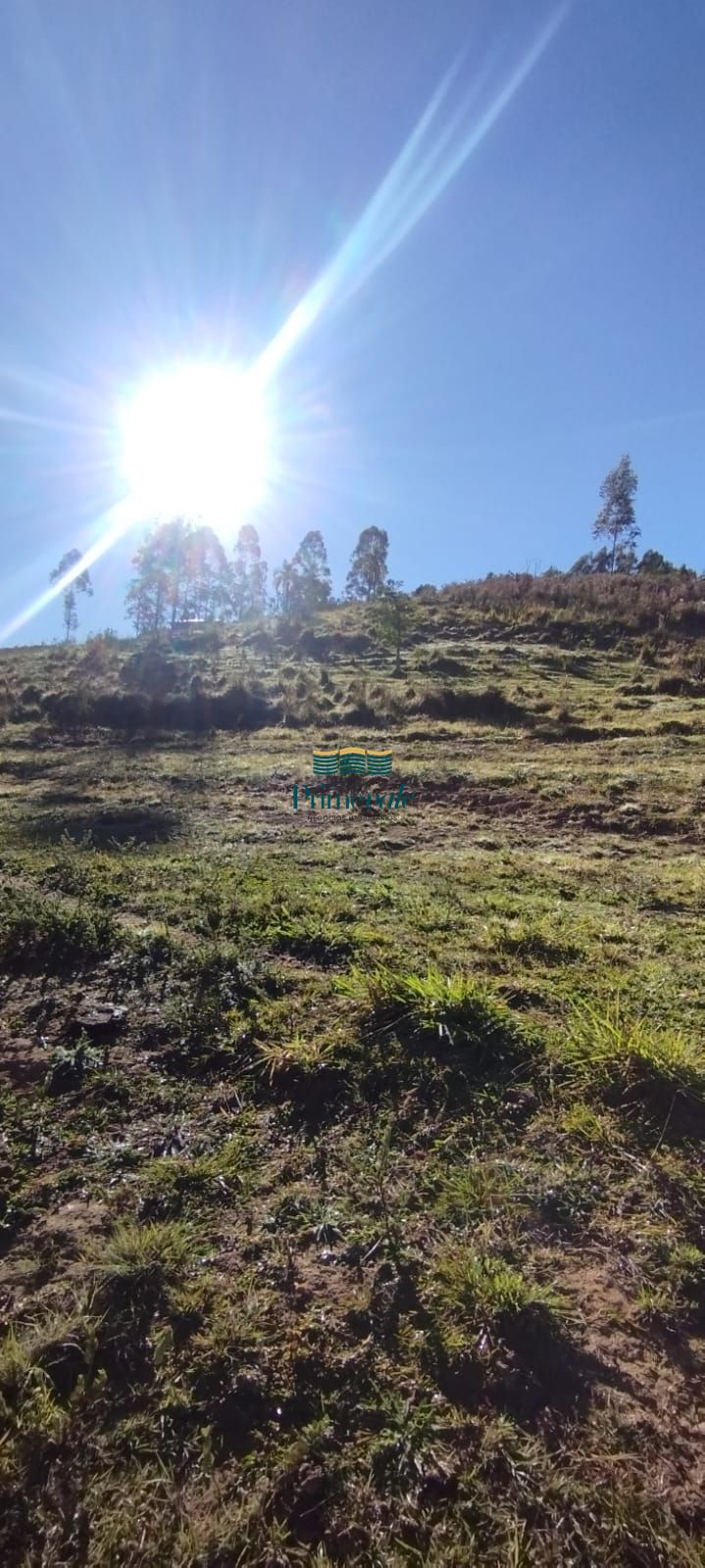 Chácara, 2 hectares - Foto 11