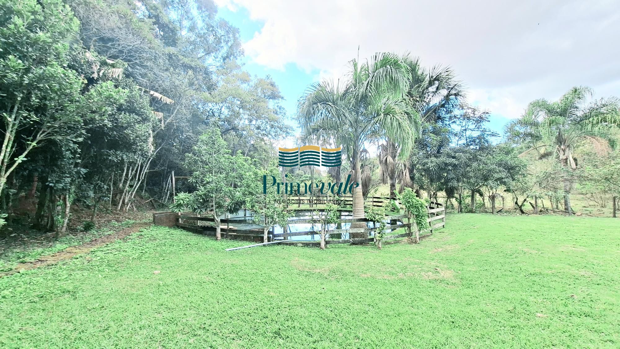 Chácara, 5 quartos, 11 hectares - Foto 14