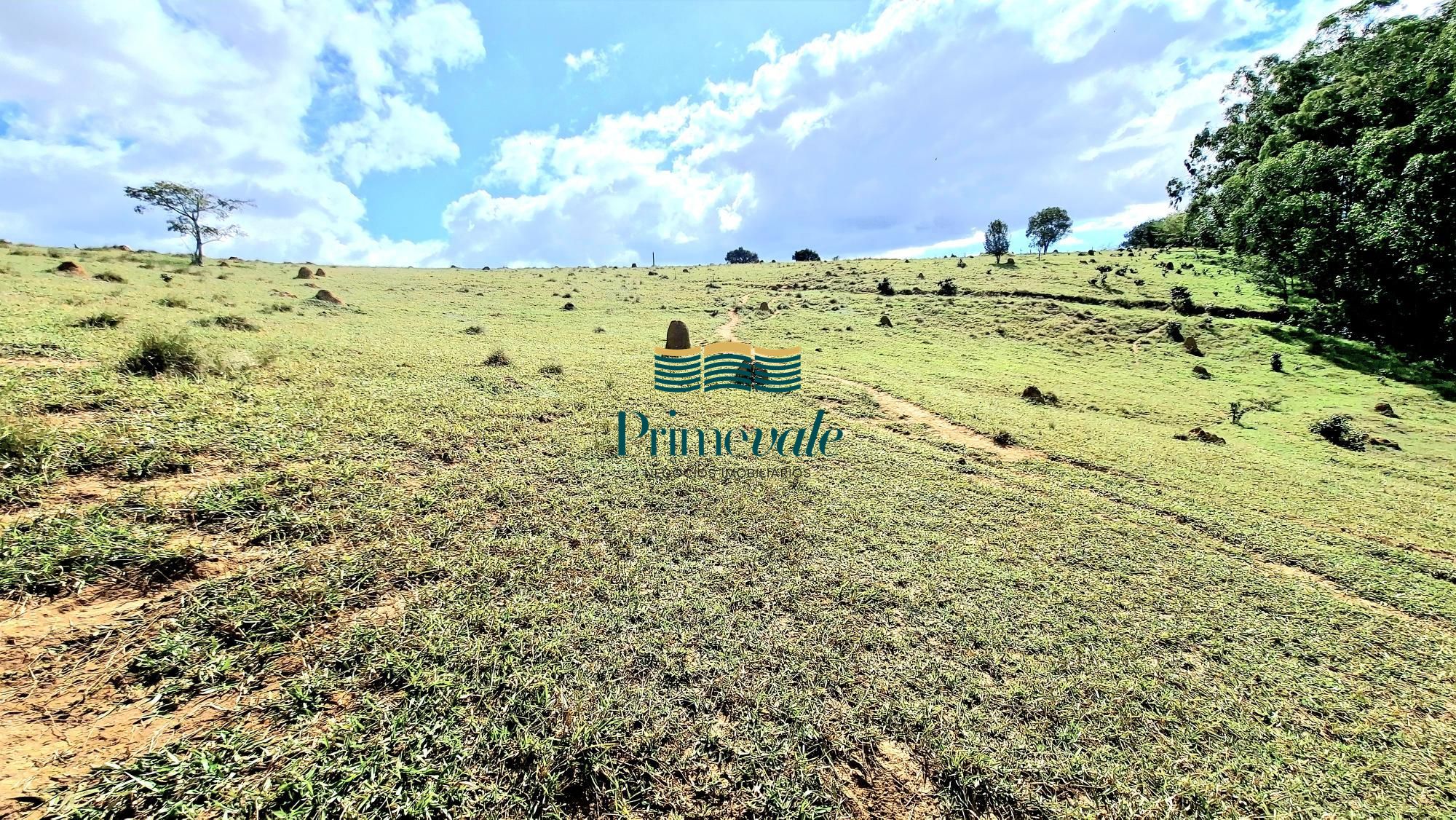 Chácara, 5 quartos, 11 hectares - Foto 45