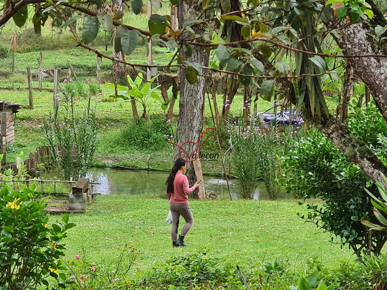 Fazenda à venda com 6 quartos, 310m² - Foto 12