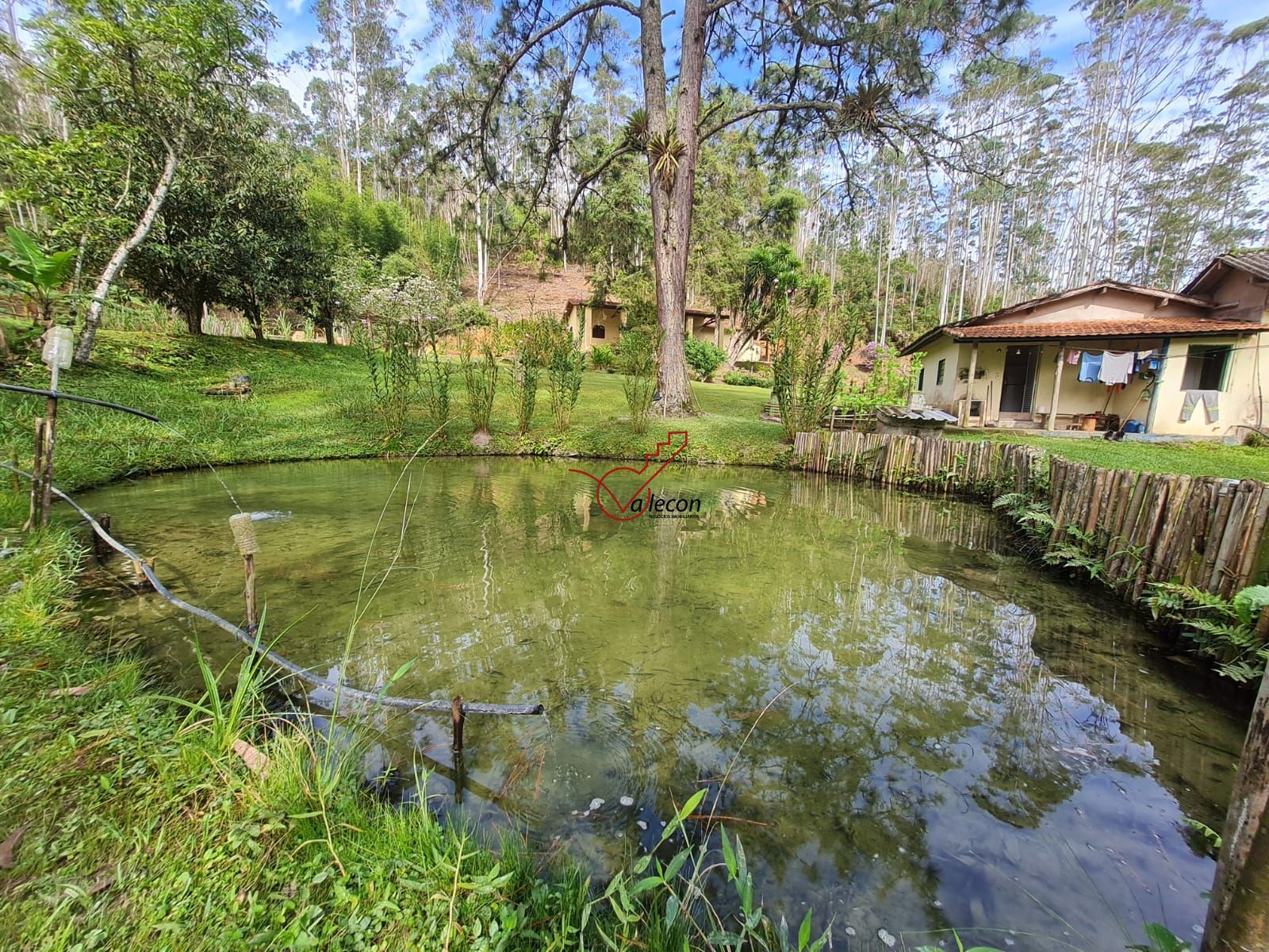 Fazenda à venda com 6 quartos, 310m² - Foto 5