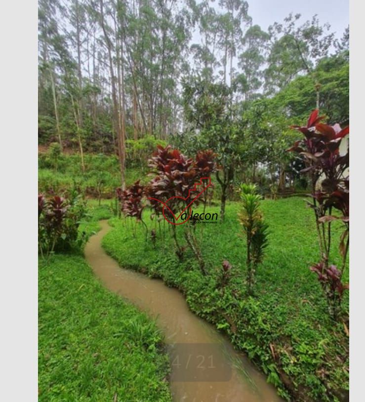 Fazenda-Sítio-Chácara, 7 hectares - Foto 4