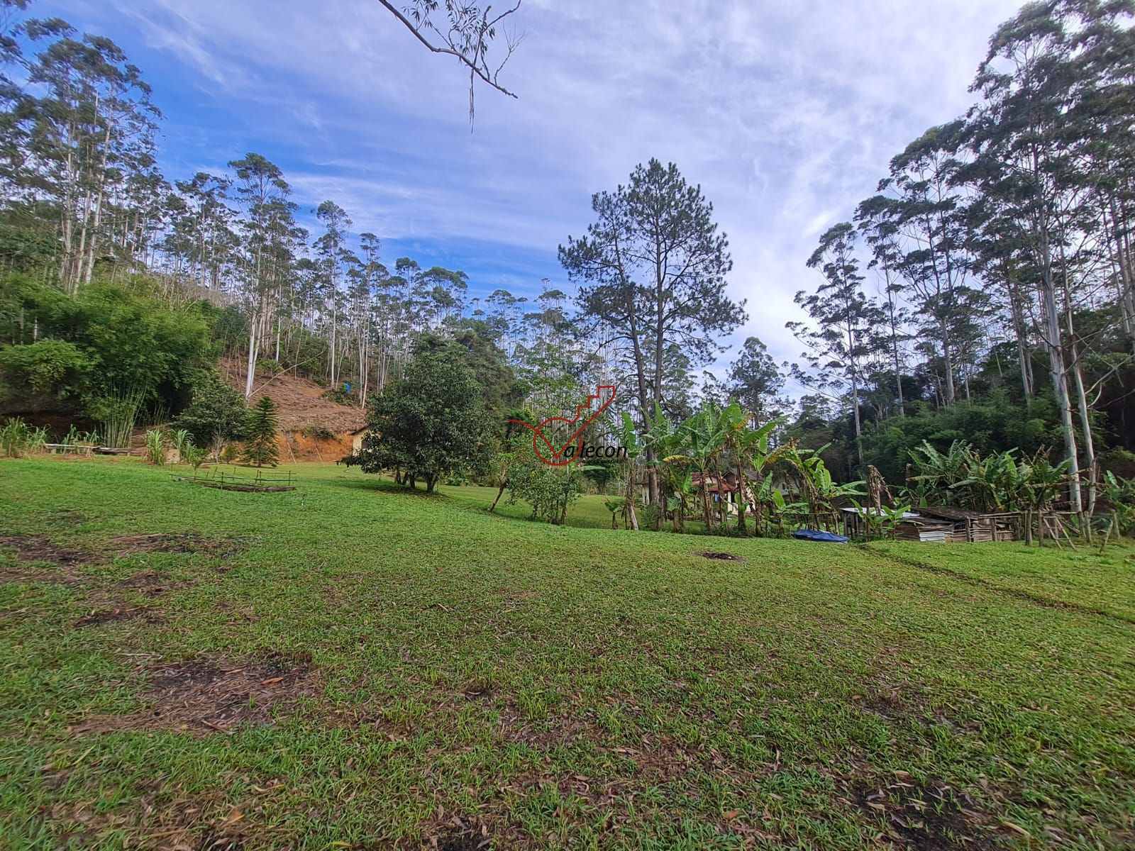 Fazenda à venda com 6 quartos, 310m² - Foto 10