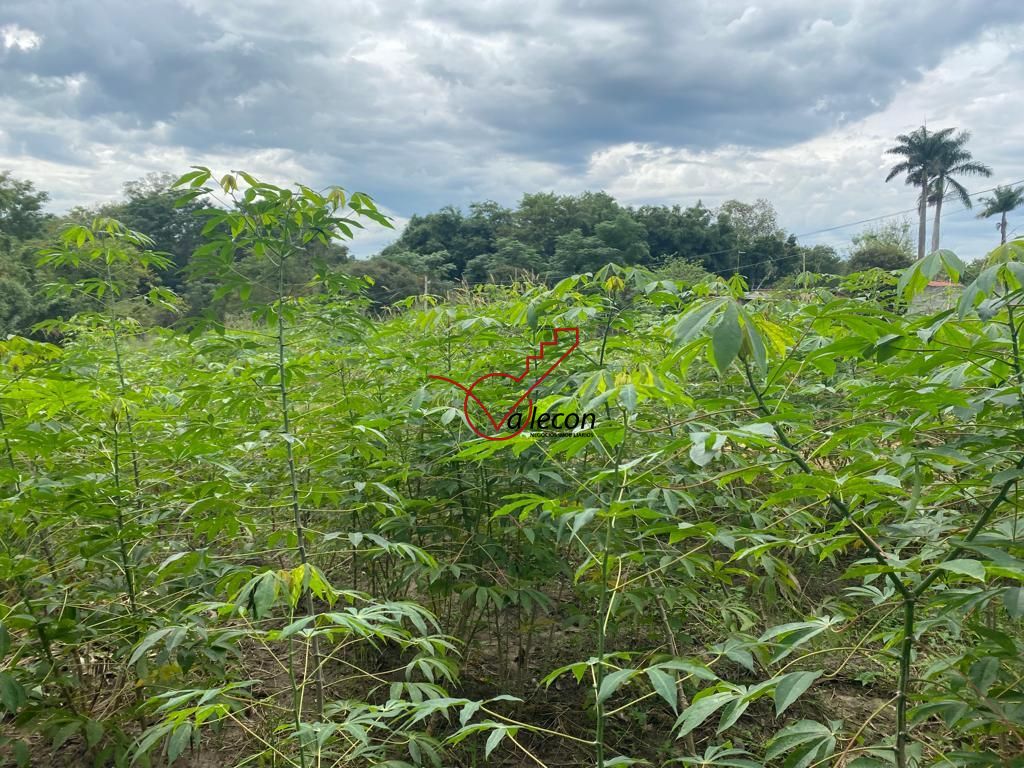 Fazenda à venda com 3 quartos, 120m² - Foto 6