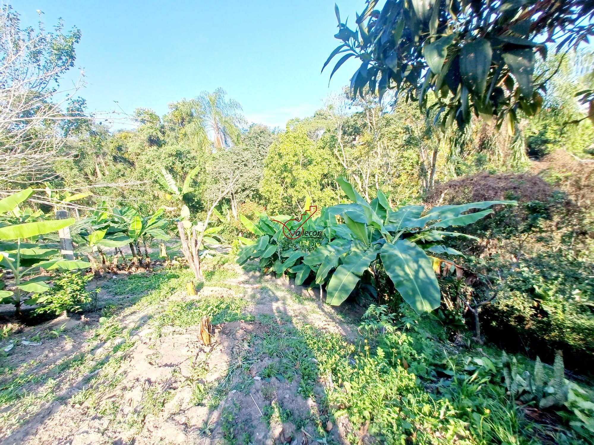 Chácara à venda e aluguel com 2 quartos, 150m² - Foto 19