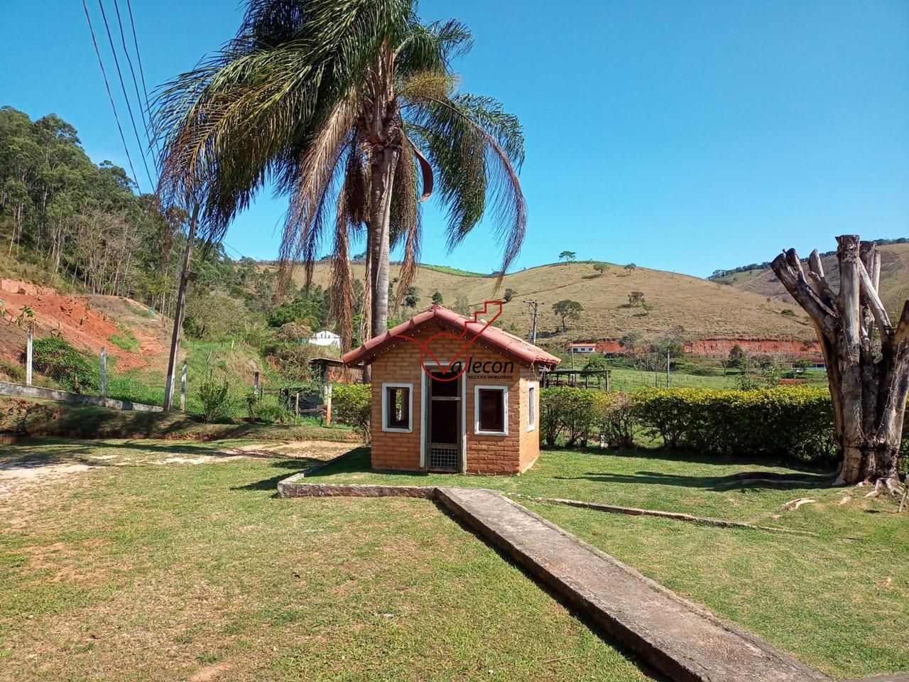 Fazenda-Sítio-Chácara, 130000100 hectares - Foto 1