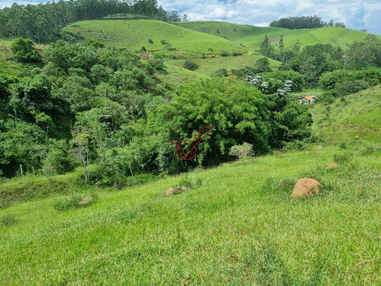 🌿Vendo Lindo Sítio com 13 Alqueires  | Zona Norte – SJC | Nascentes + Pastagem