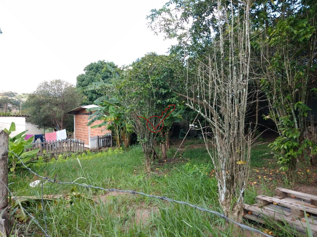 Fazenda à venda com 1 quarto, 800m² - Foto 1