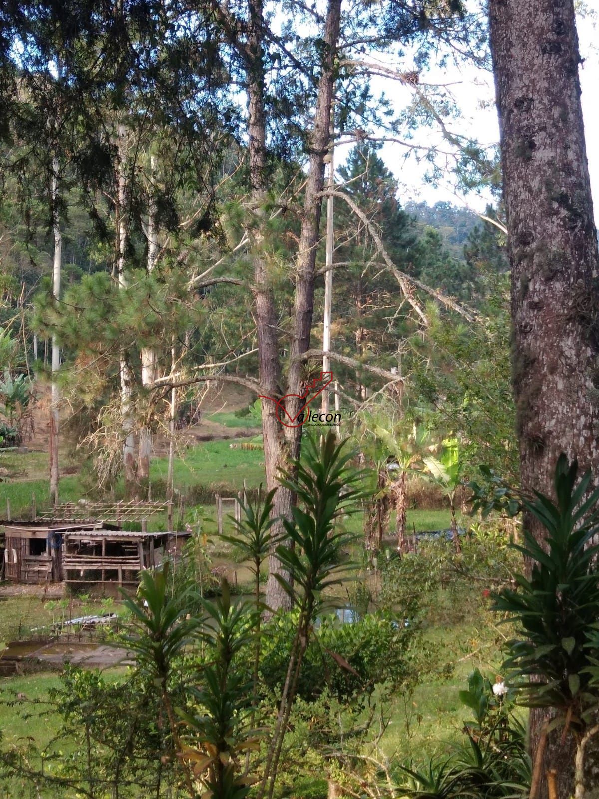 Fazenda à venda com 6 quartos, 310m² - Foto 16