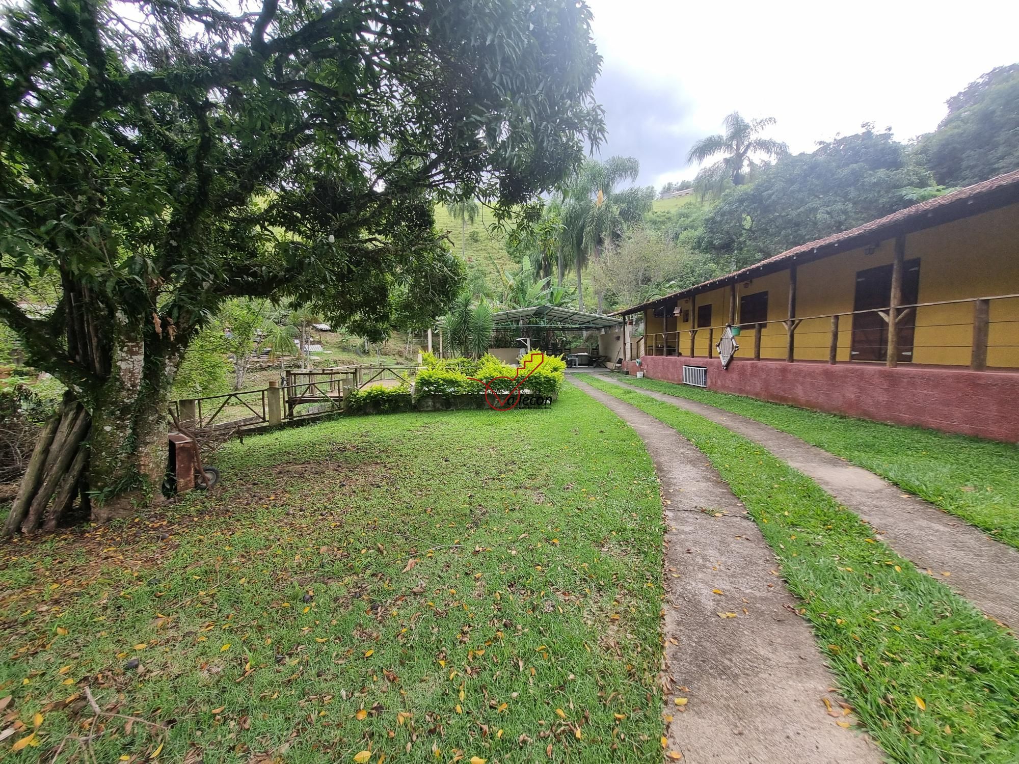 Sítio, 3 quartos, 2500 m² - Foto 3