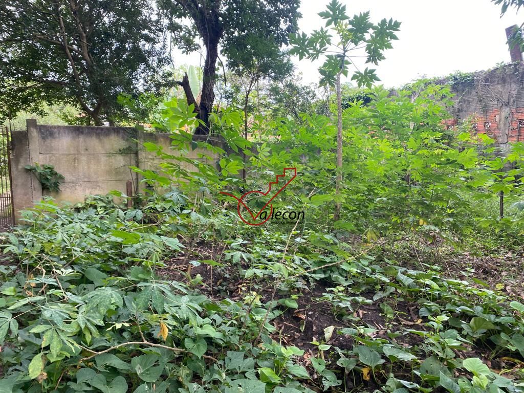 Fazenda à venda com 3 quartos, 120m² - Foto 13