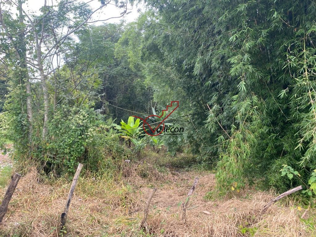 Fazenda à venda com 3 quartos, 120m² - Foto 9