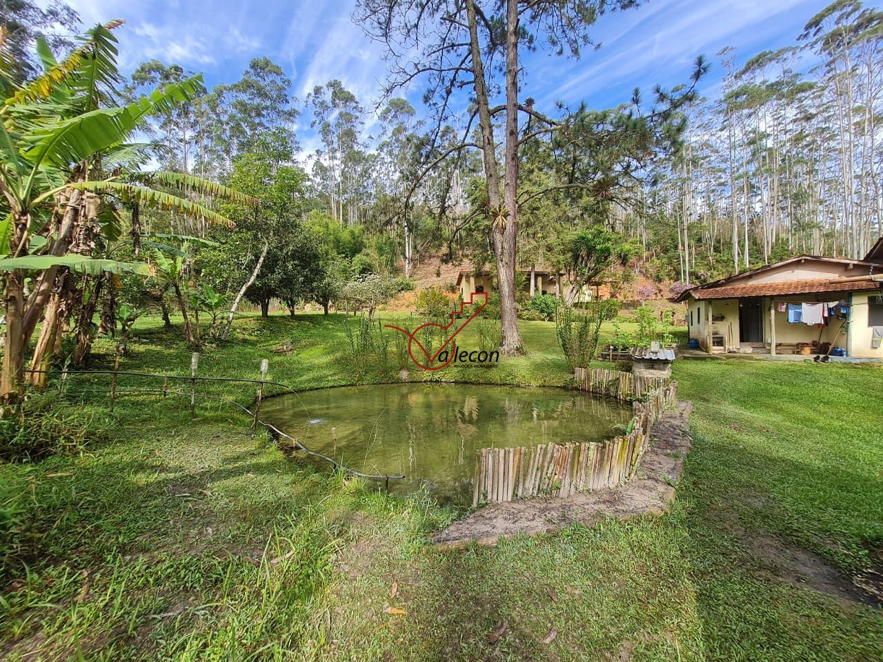 Fazenda à venda com 6 quartos, 310m² - Foto 14