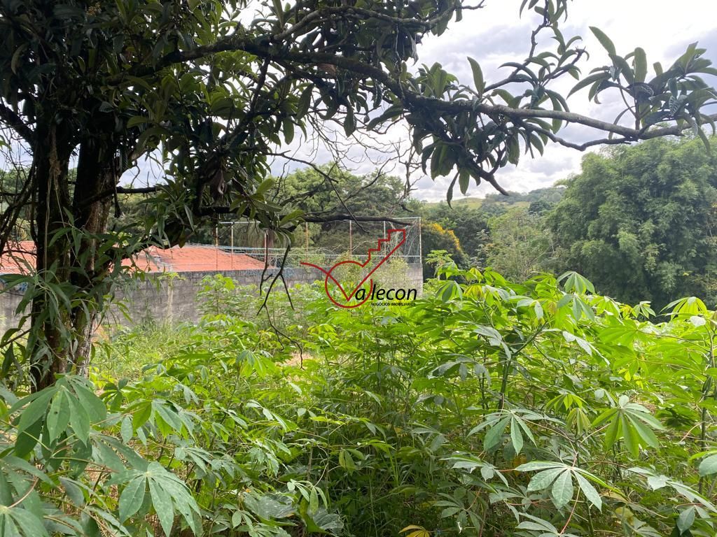 Fazenda à venda com 3 quartos, 120m² - Foto 16