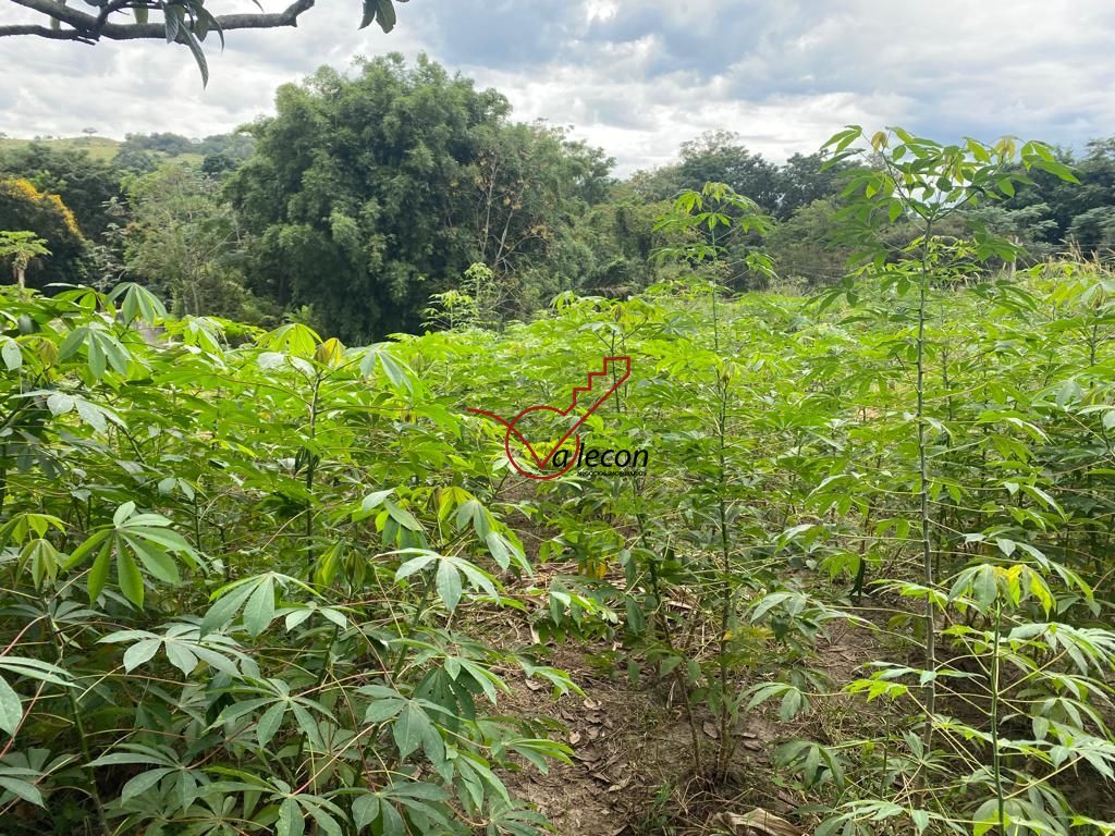 Fazenda à venda com 3 quartos, 120m² - Foto 15