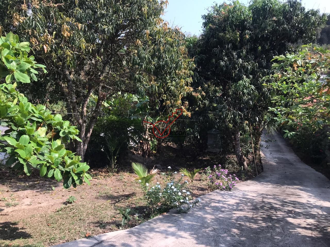 Chácara à venda e aluguel com 2 quartos, 150m² - Foto 3