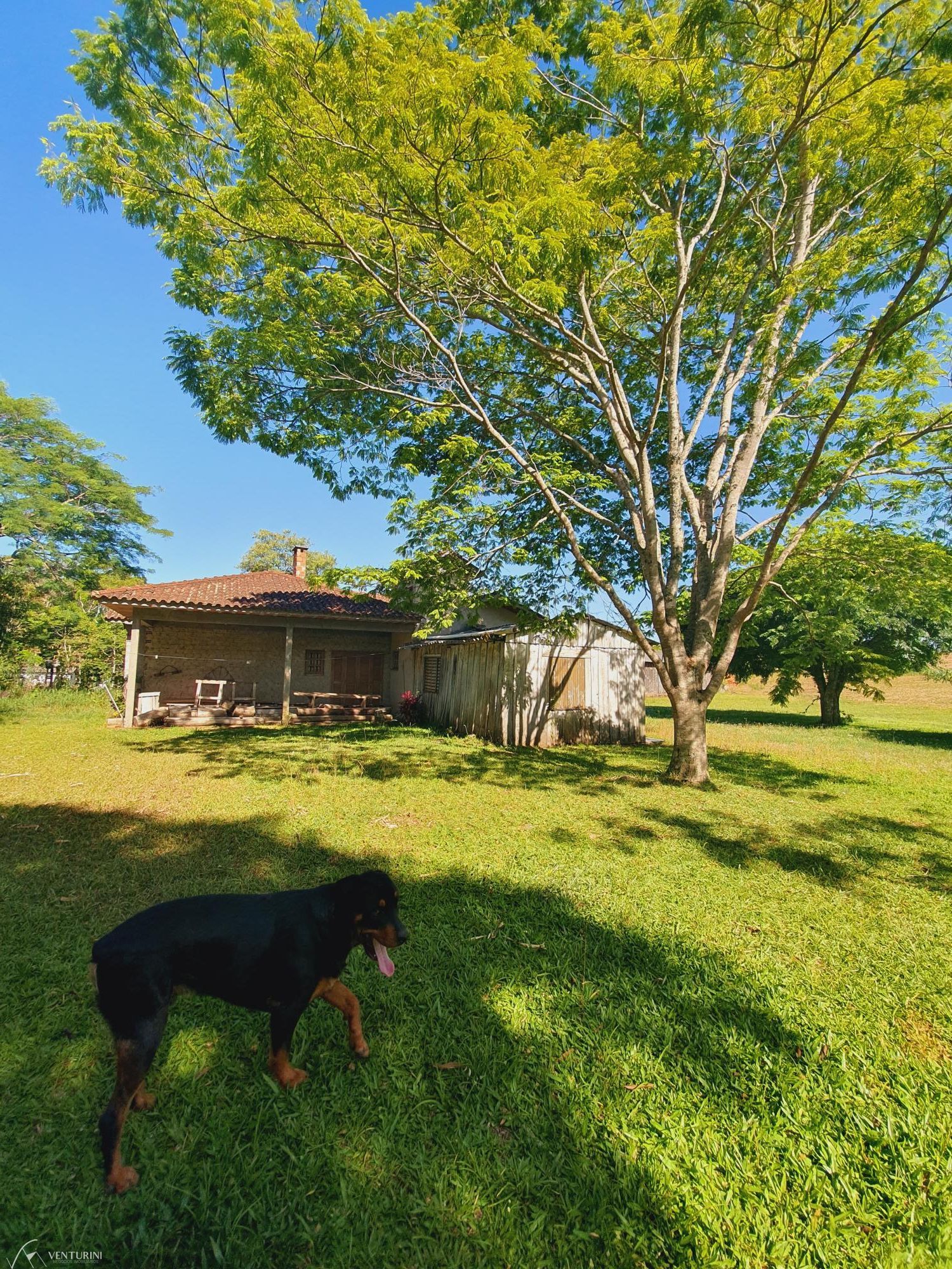 Chácara à venda com 4 quartos, 231m² - Foto 18