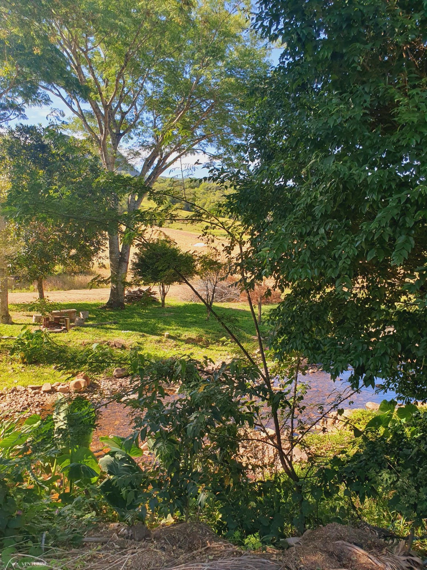 Fazenda à venda com 4 quartos, 231m² - Foto 16