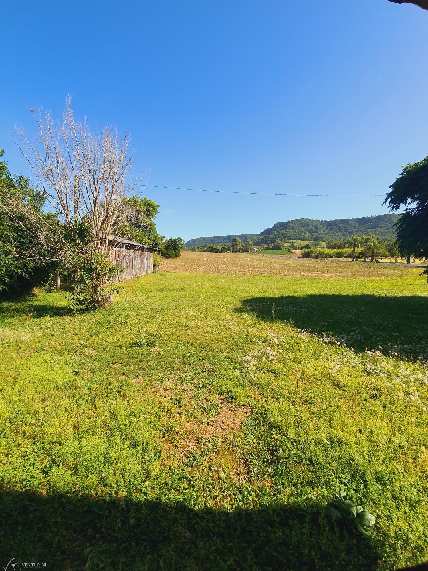 Fazenda à venda com 4 quartos, 231m² - Foto 11