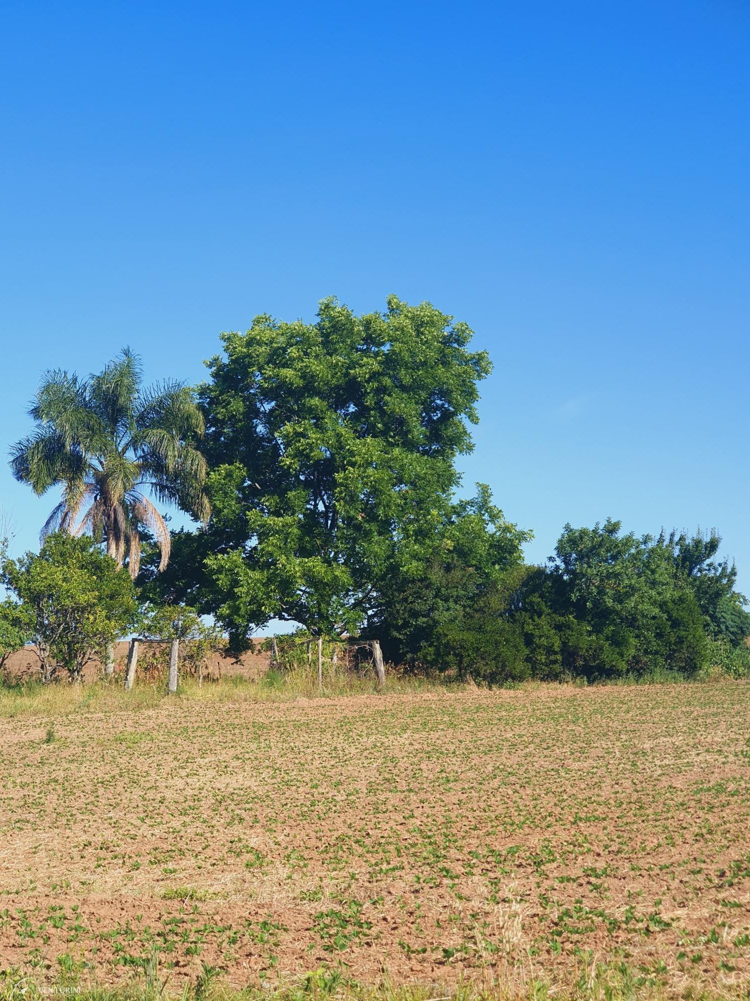 Fazenda à venda com 4 quartos, 231m² - Foto 21