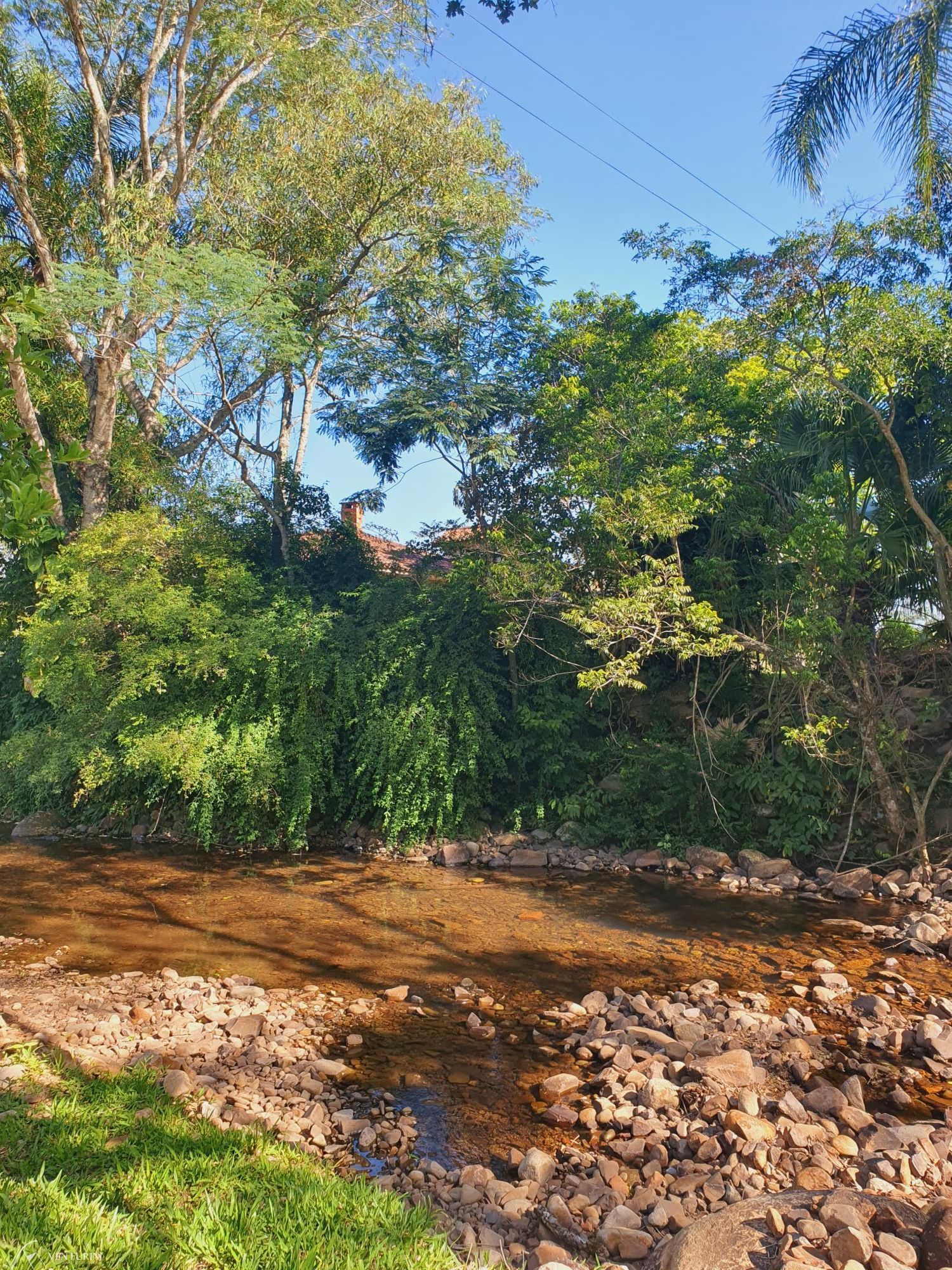 Chácara à venda com 4 quartos, 231m² - Foto 6