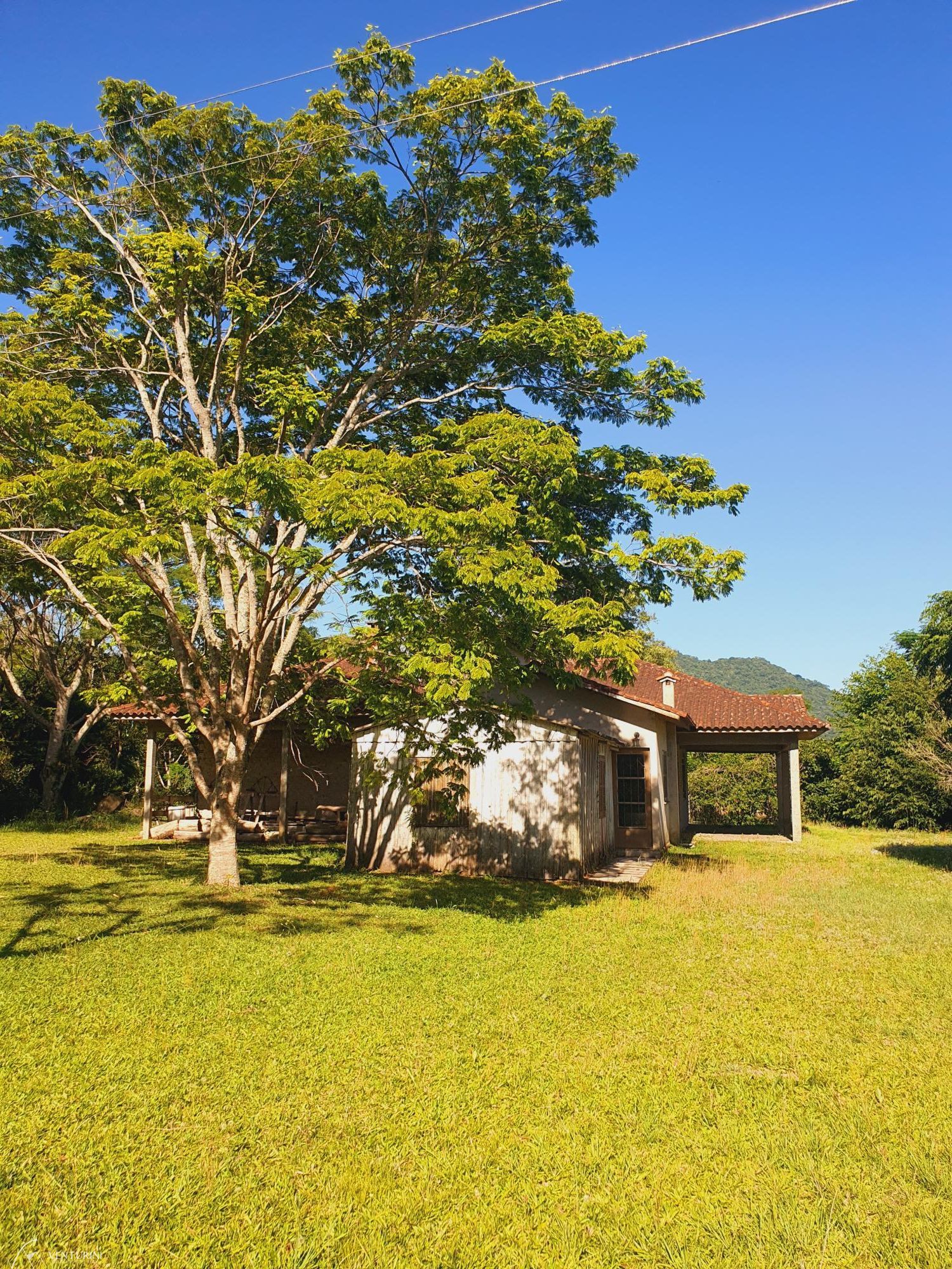 Fazenda à venda com 4 quartos, 231m² - Foto 3