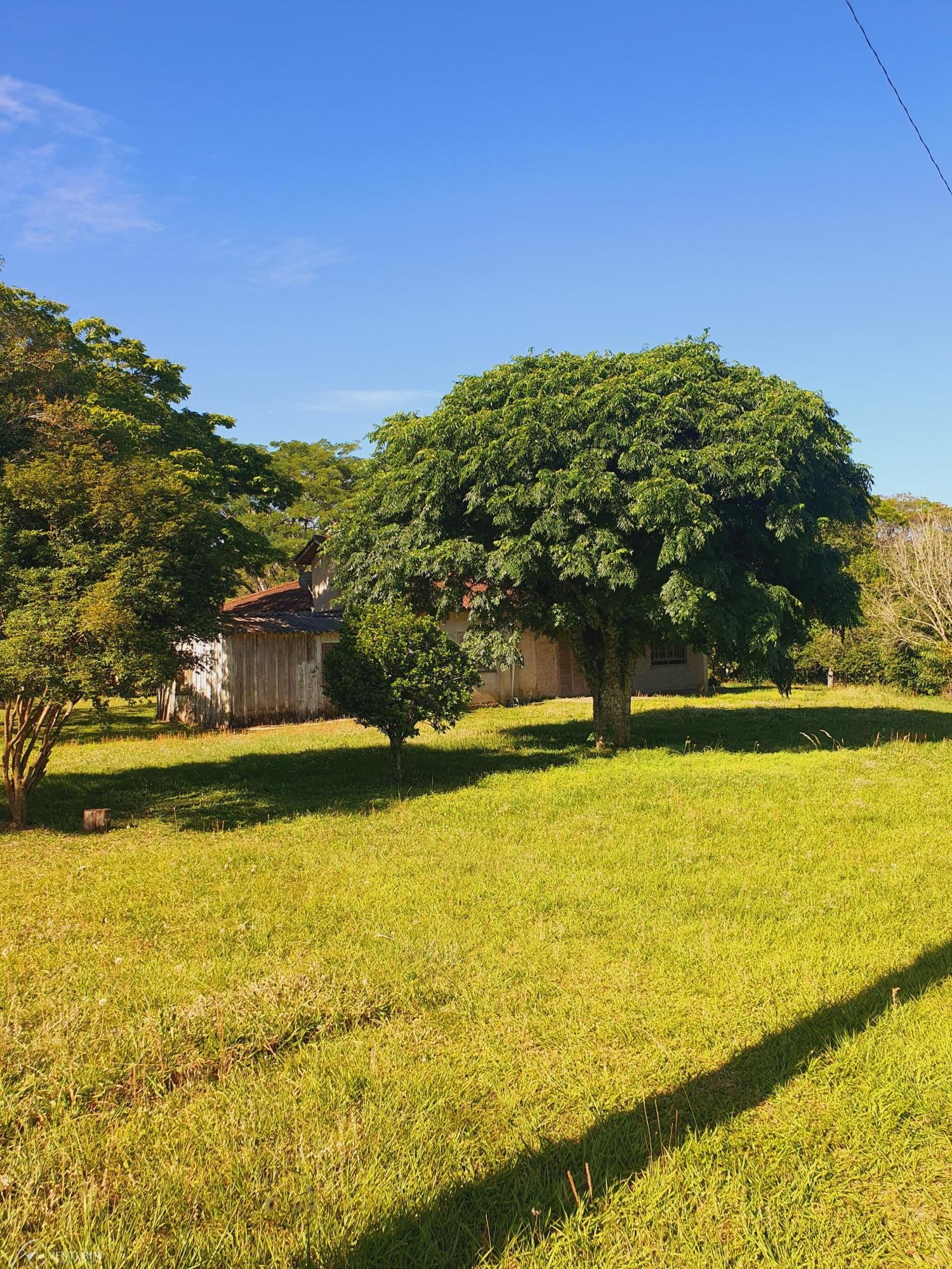 Fazenda à venda com 4 quartos, 231m² - Foto 5