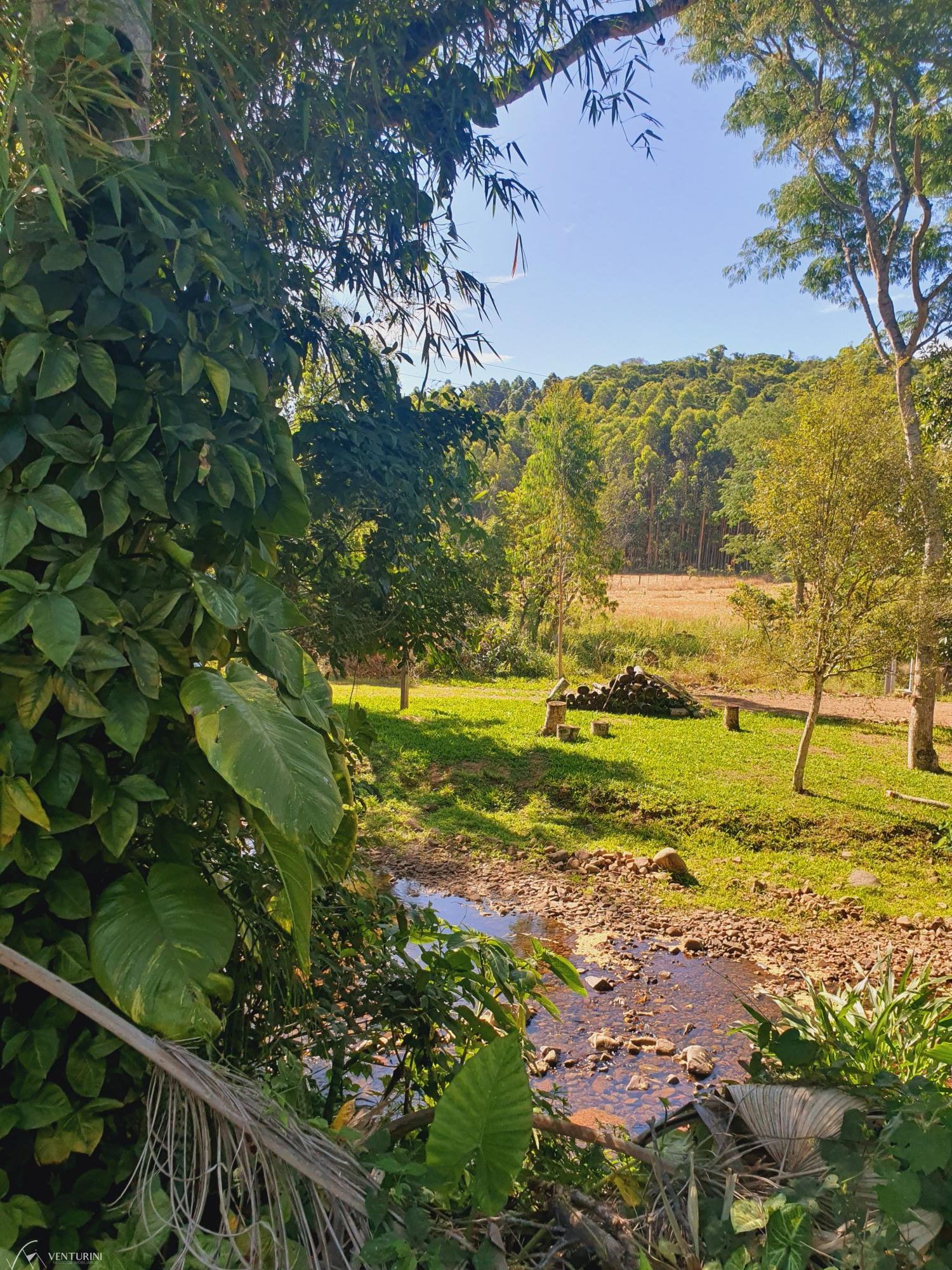 Fazenda à venda com 4 quartos, 231m² - Foto 15