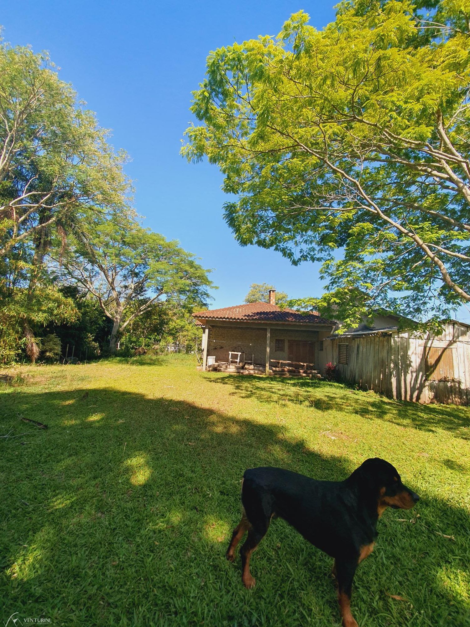 Fazenda à venda com 4 quartos, 231m² - Foto 17