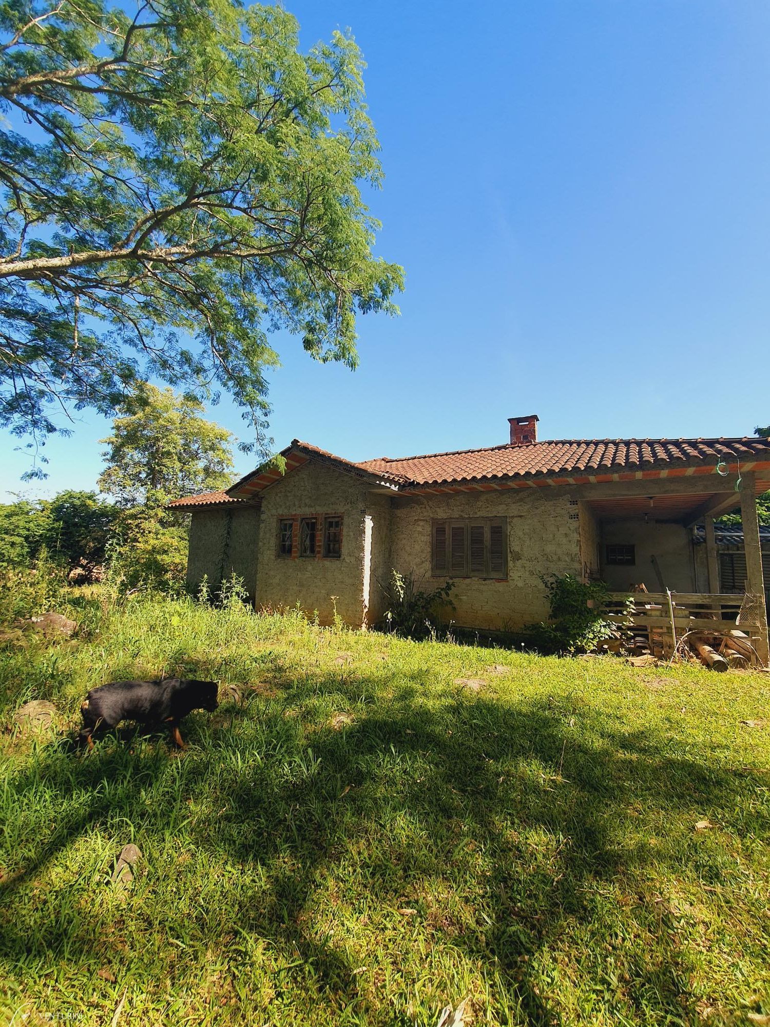 Fazenda à venda com 4 quartos, 231m² - Foto 14