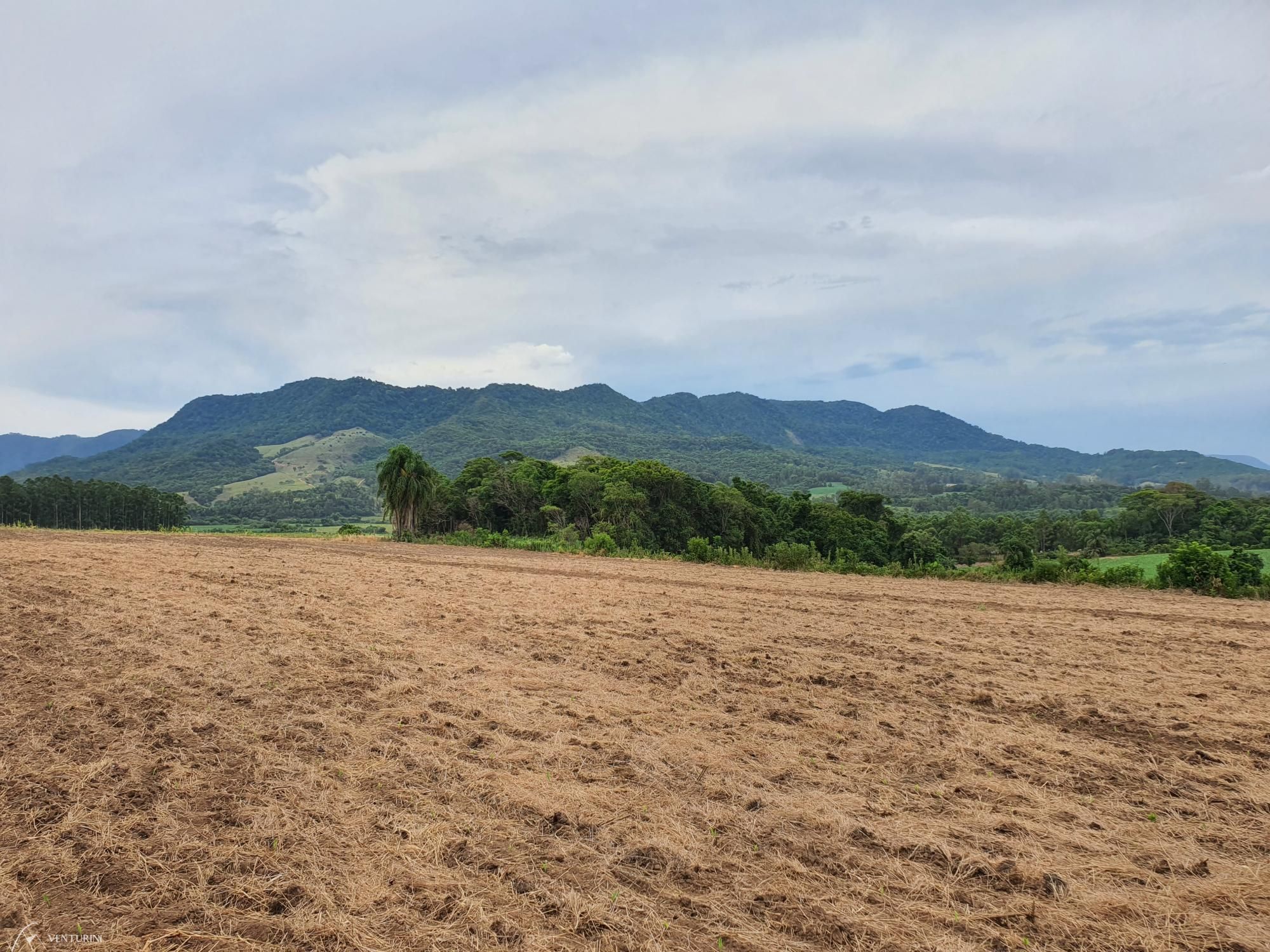 Loteamento e Condomínio à venda, 280000000m² - Foto 7