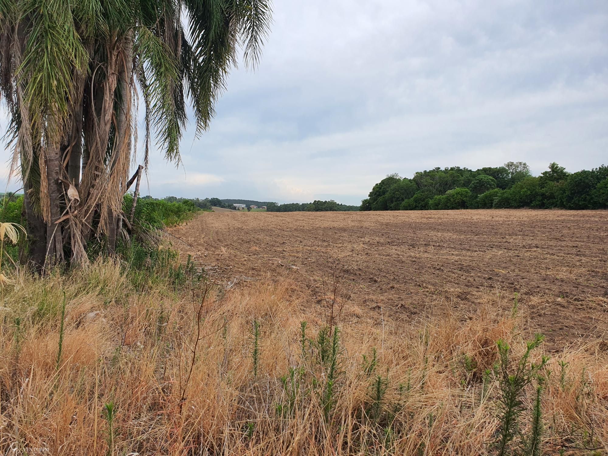 Loteamento e Condomínio à venda, 280000000m² - Foto 3